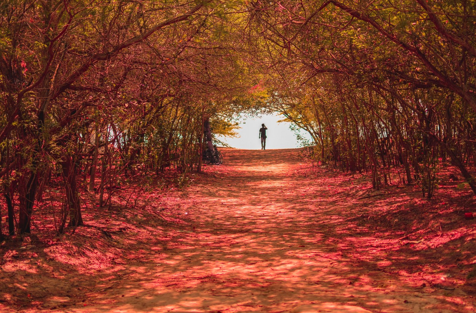 Le Passage - Espace d'écoute et d'accompagnement des transitions de vie - Payerne - Thierry Feller