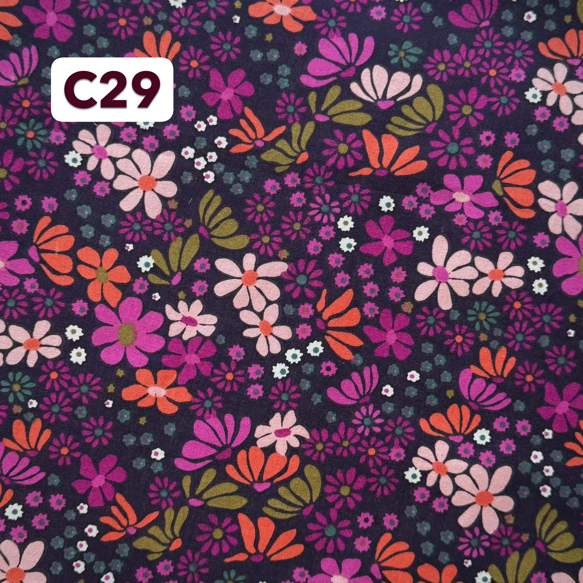 C29