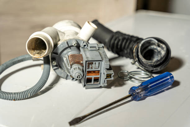 Istockphoto-1485497562-612x612