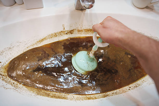 Istockphoto-2211942227-612x612