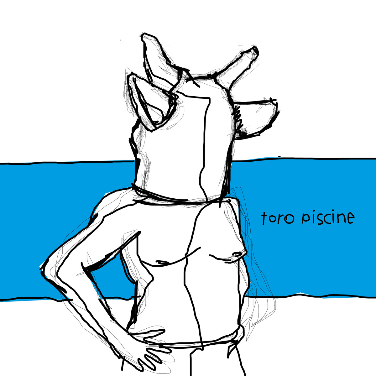 Toro-piscine-visu