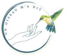 Logo-association-un-oiseau-m-a-dit
