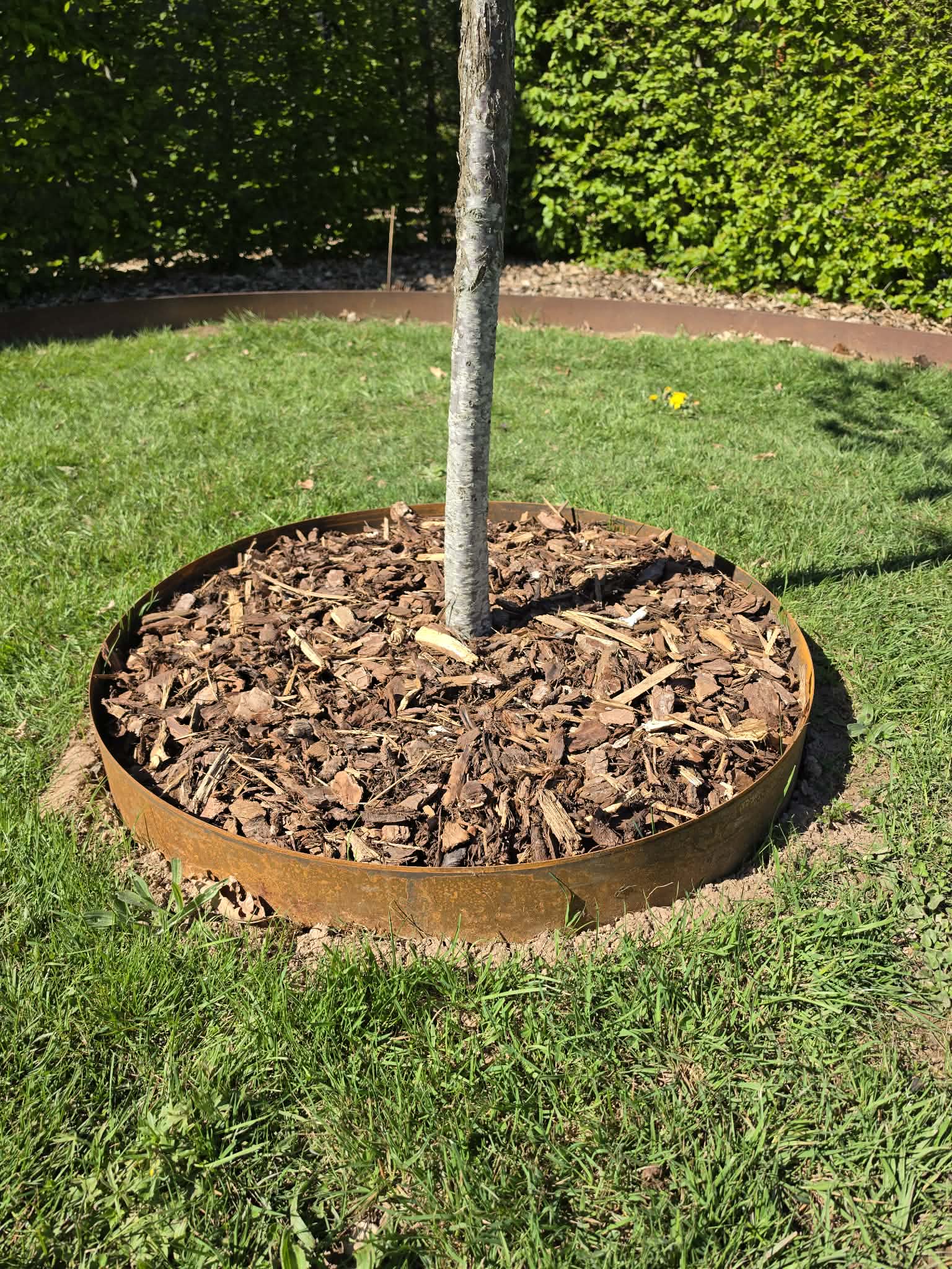 Att e enoxry2fx6omxi54j8tw9bi3uhy swkbqiwilgnjs