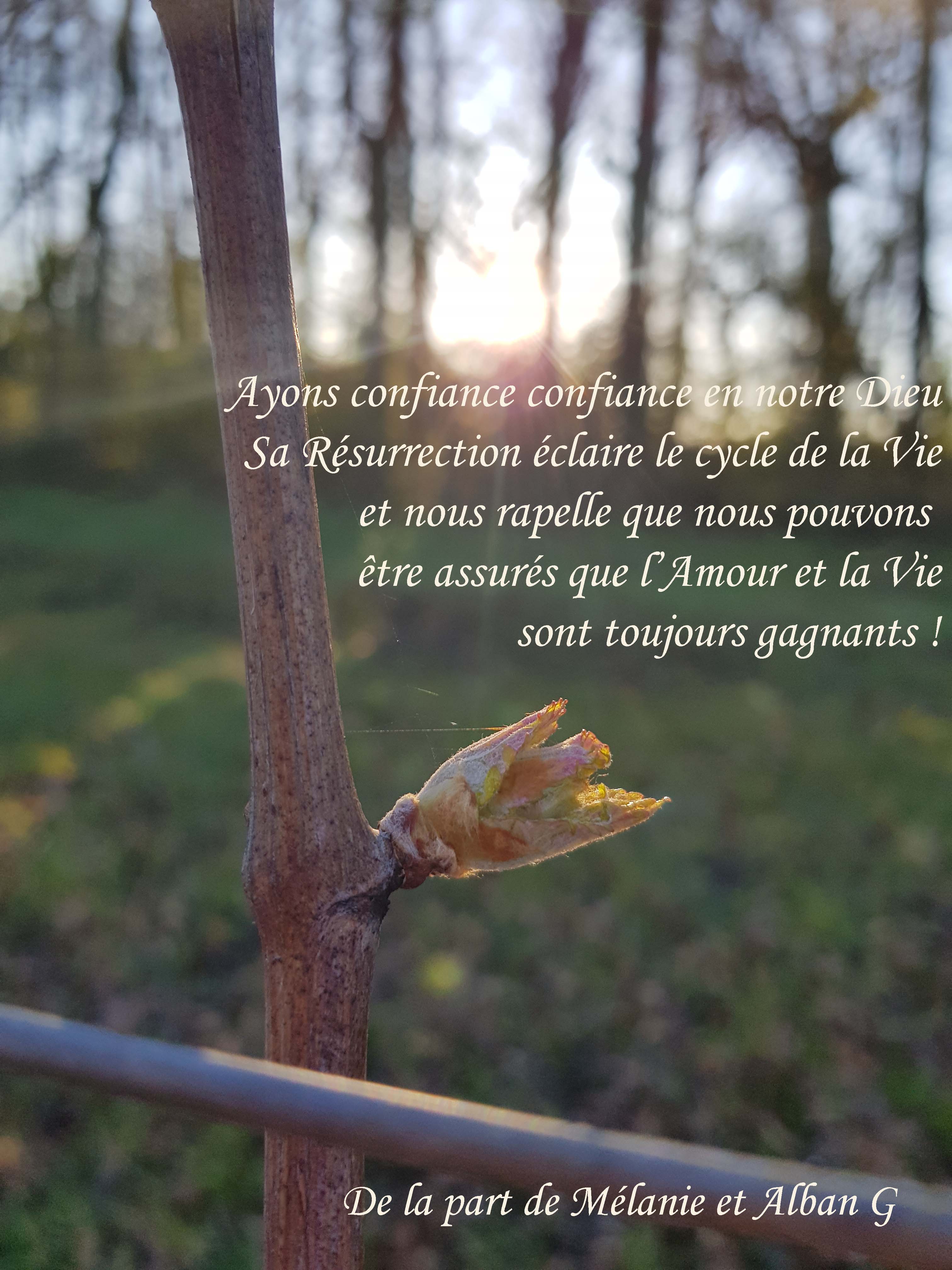 22-Alban-et-Melanie-G-Bourgeon-