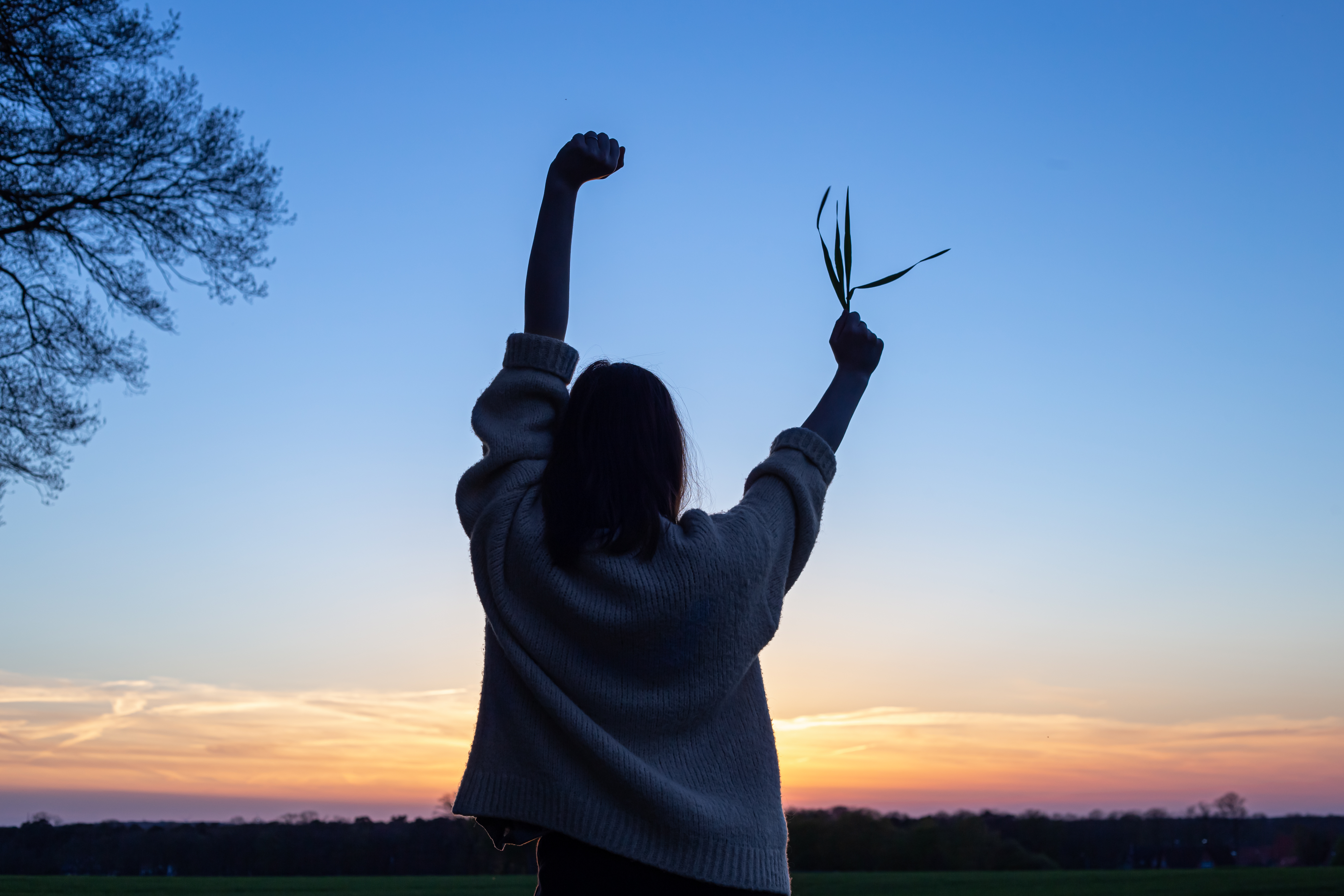 Silhouette-woman-sunset-field-against-sky-rear-view