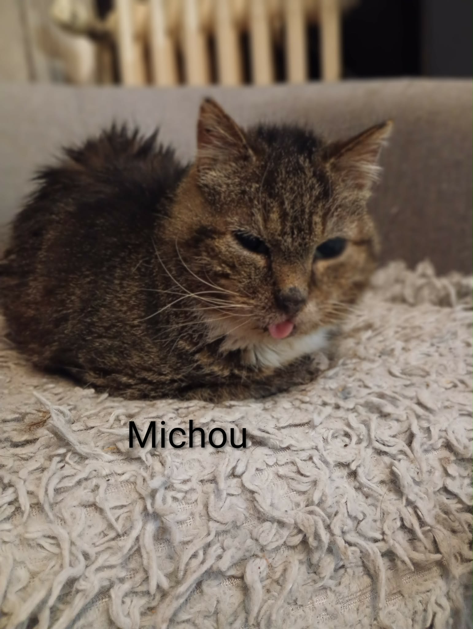 Michou