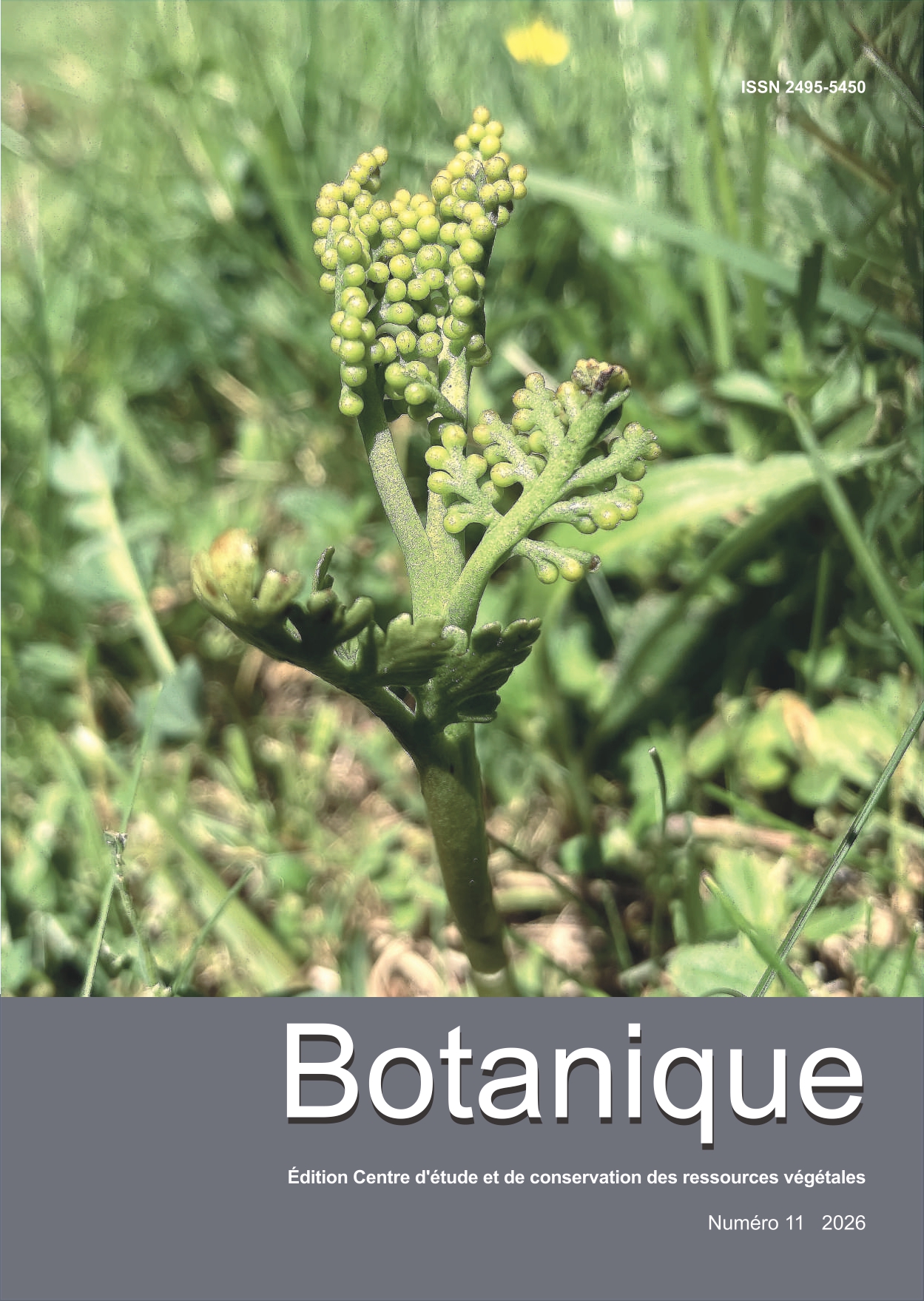 Botanique-n-11-couverture-cp page-0001-1-