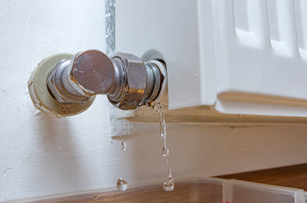 Istockphoto-1497128707-612x612