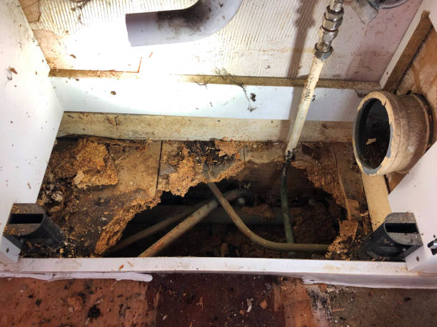 Istockphoto-1223801670-612x612