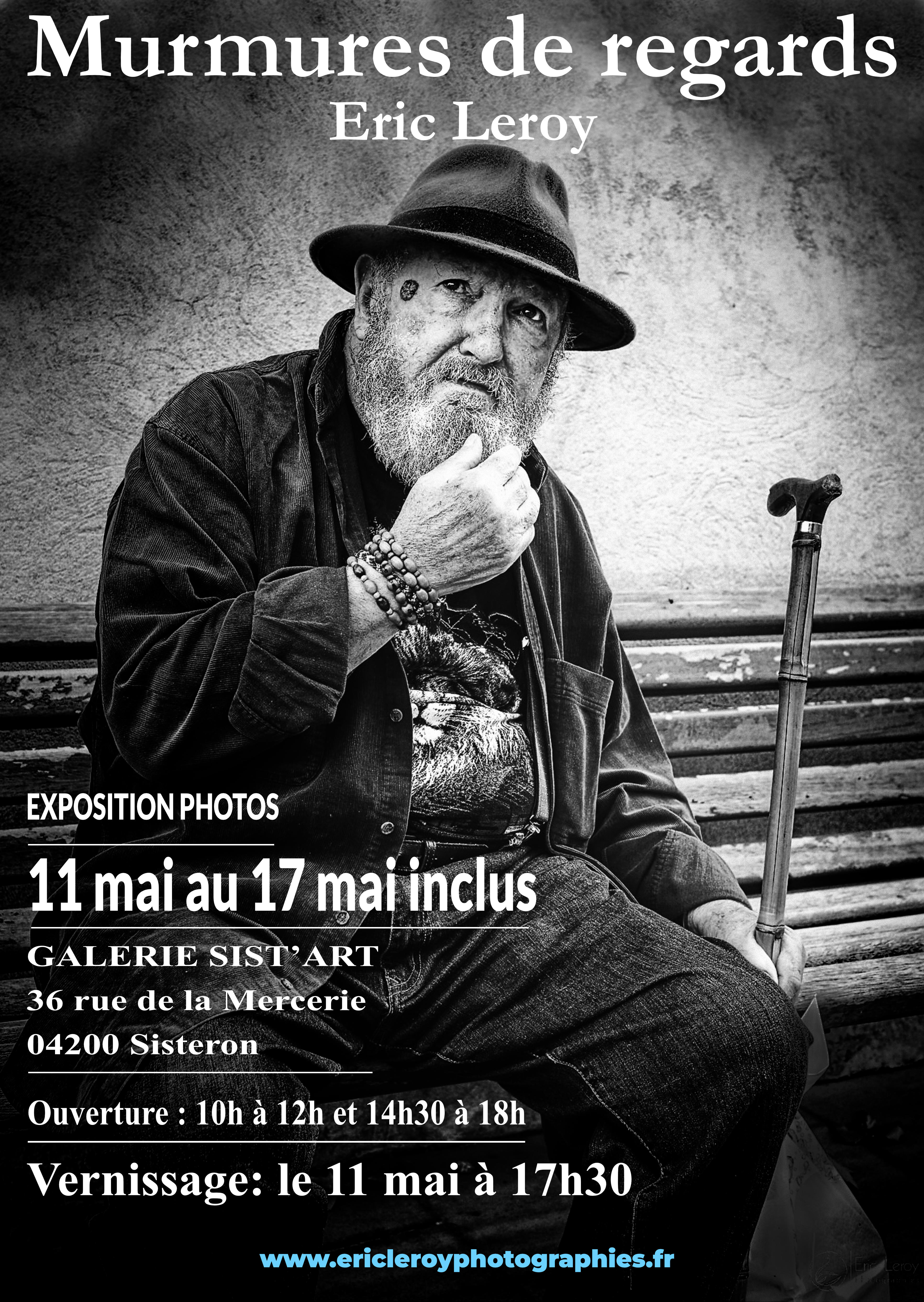 Exposition Eric Leroy à Laragne-Montéglin en pays Sisteron Buech

Une immersion au coeur de la nature