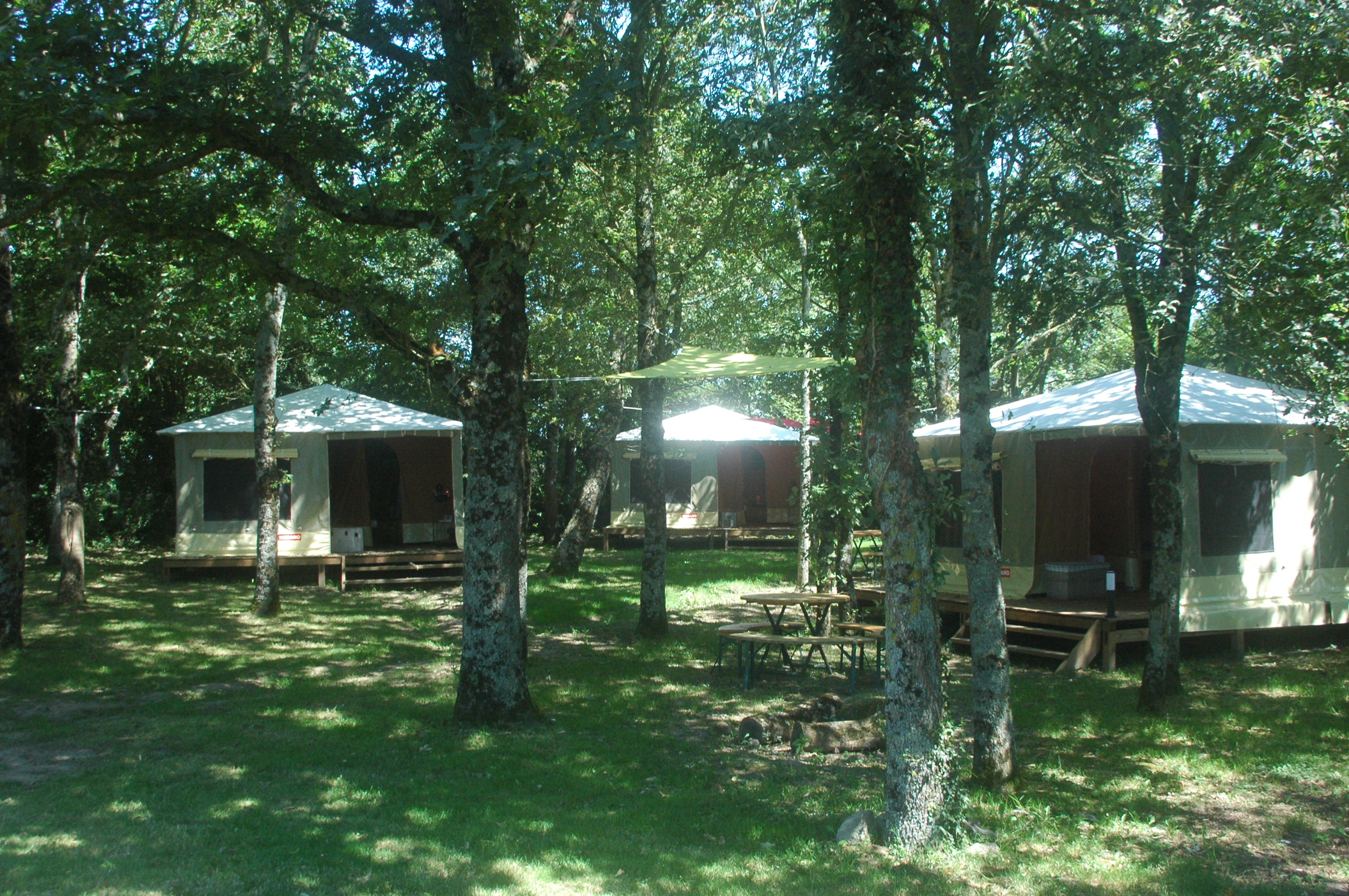 Hébergements en toile installés sous les arbres dans le cadre naturel du domaine