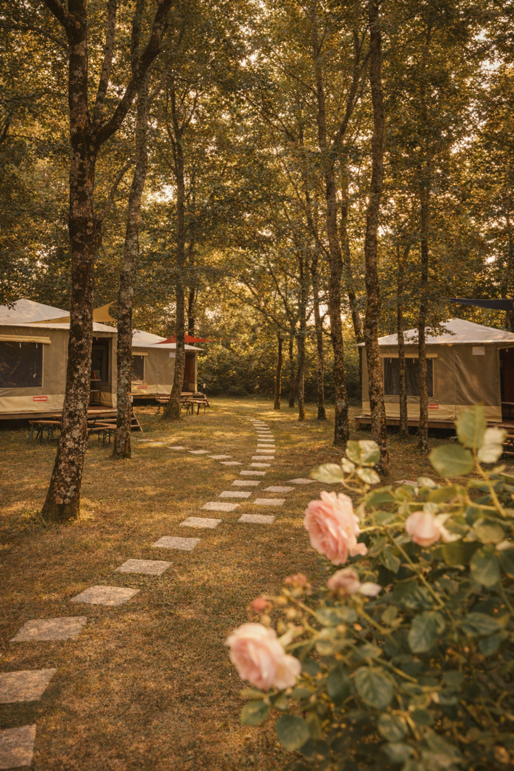 Hébergements en toile au cœur du cadre naturel du domaine, entre arbres et rosiers