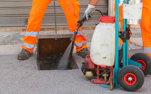 Istockphoto-1171739497-612x612