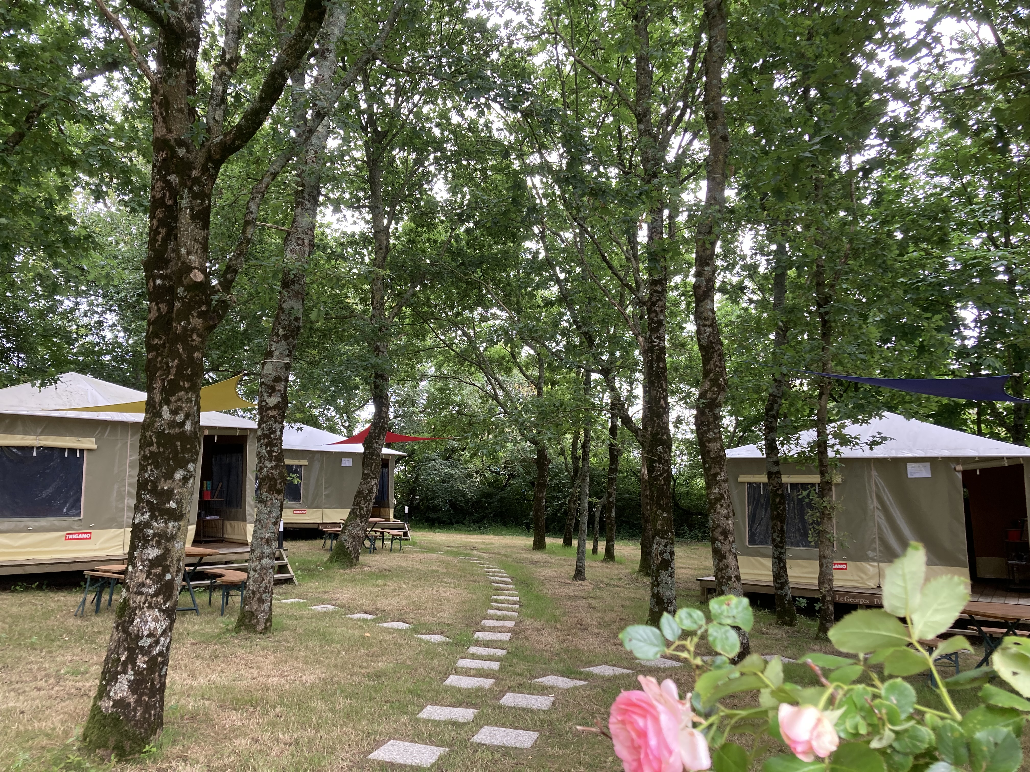 Villa des forges lodges roses