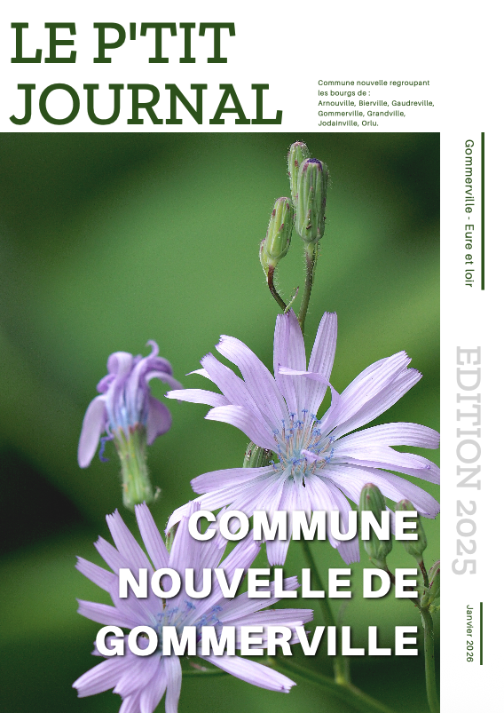 Pzetit-Journal-2025-1ere-couv