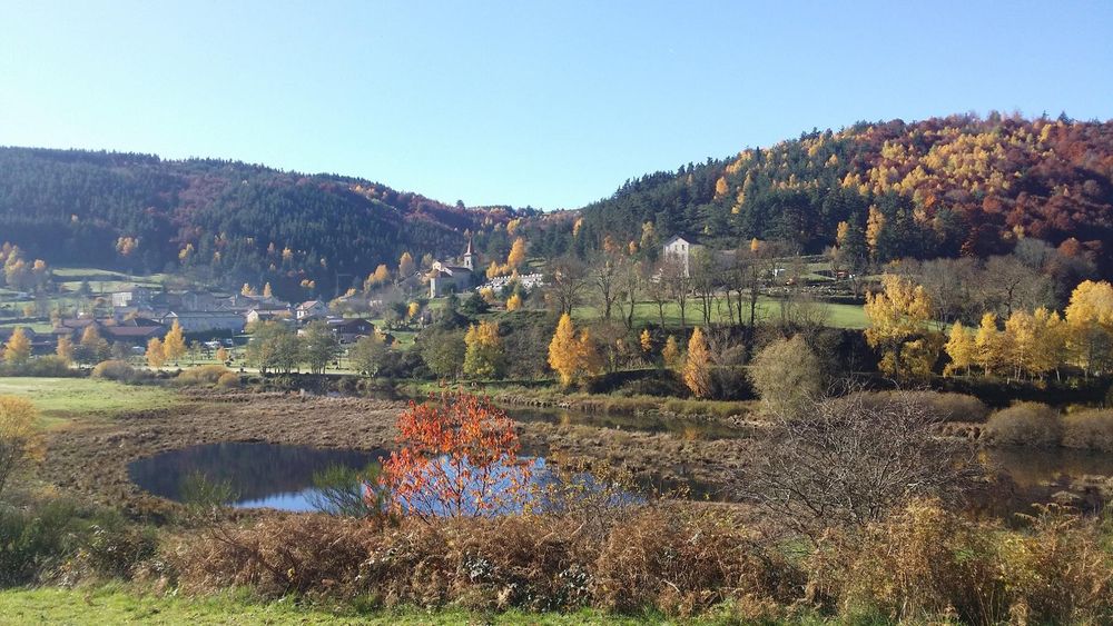 Ezbyd 12185024 535261916650674 5018586228340900869 o