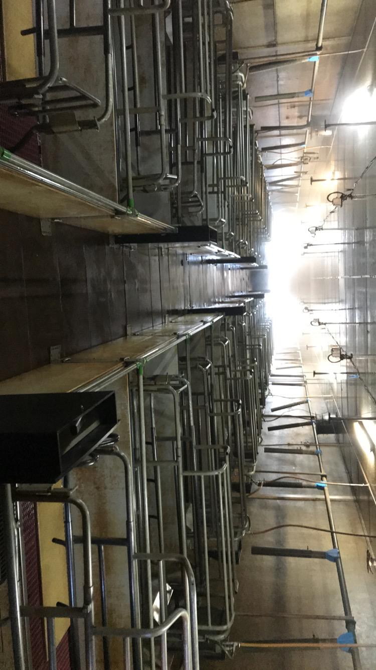 Photo 2026 04 29 14 32 57 2 