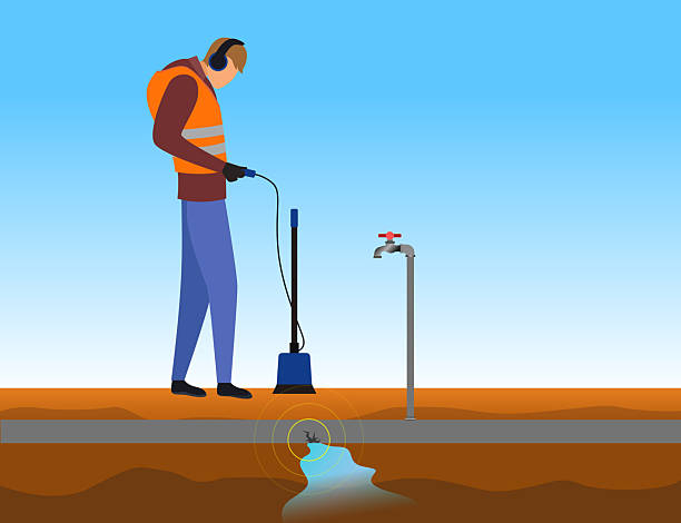 Istockphoto-2210065533-612x612