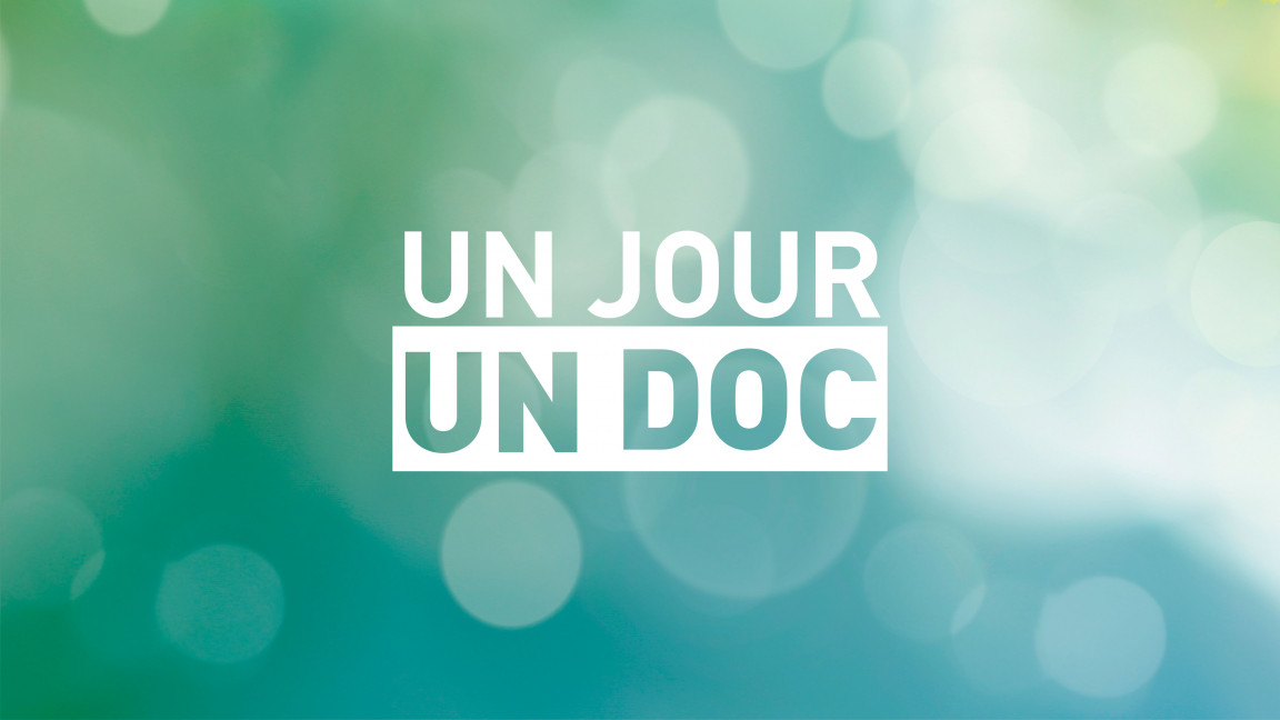 1542387-un-jour-un-doc-logo