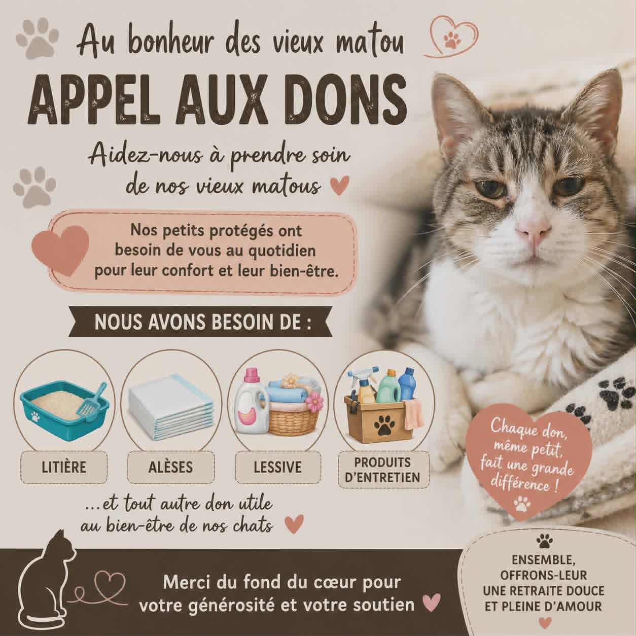 🐾 Appel aux dons – Aidons nos vieux matous 🐾