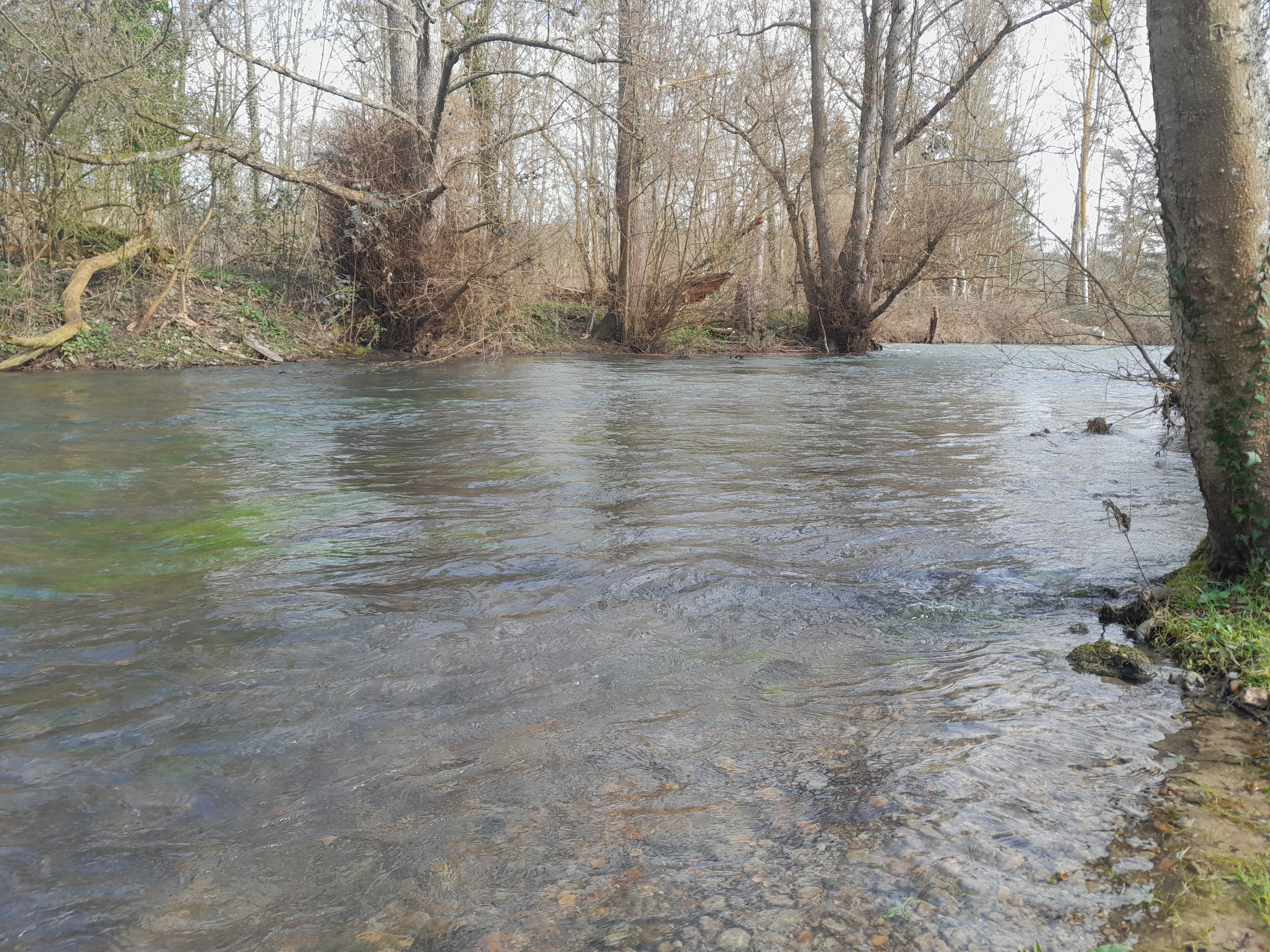 Situation hydrologique de la Normandie en mars 2026 (source DREAL Normandie)