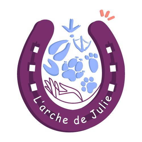 Logo-arche-de-julie