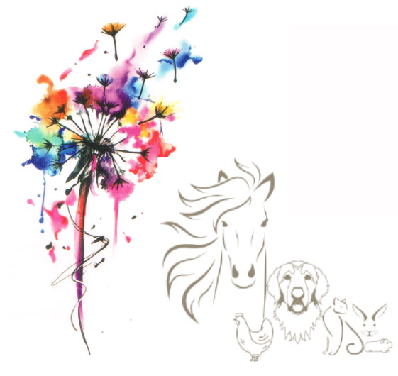 Logo-essence-animale
