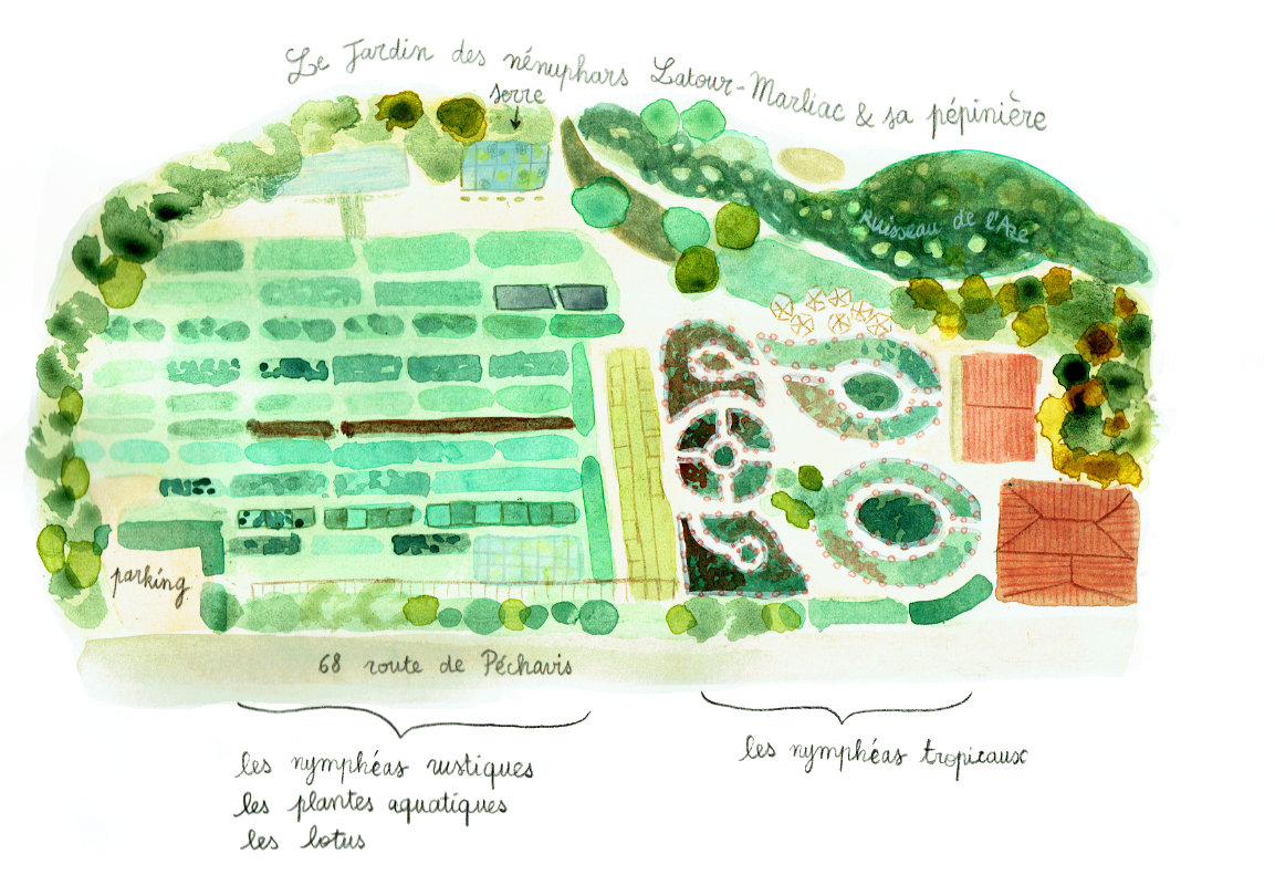 Jardin latour marliac