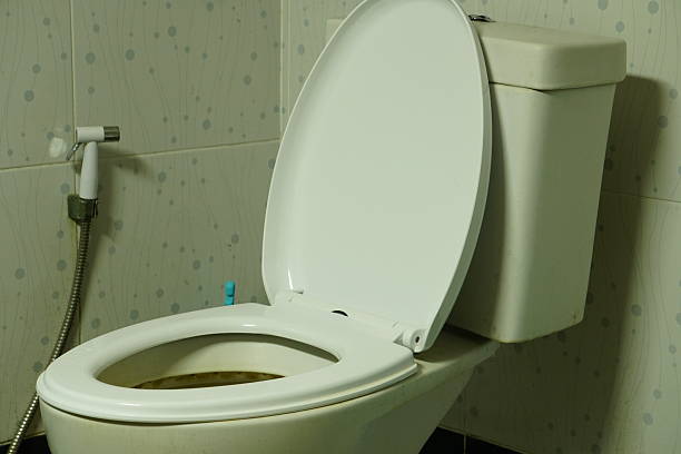 Istockphoto-2262225121-612x612
