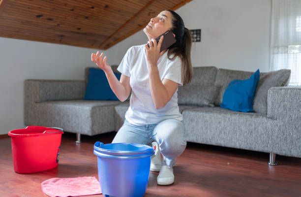 Istockphoto-2150798053-612x612