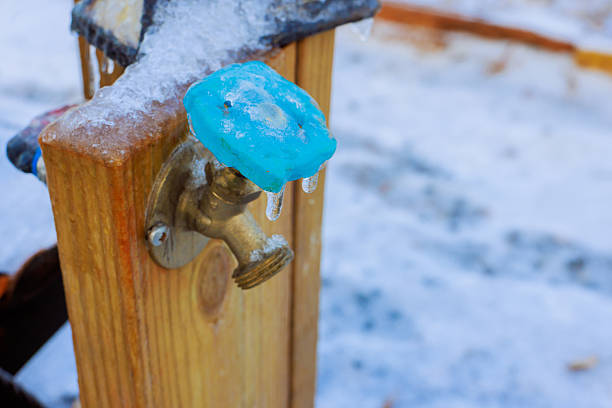 Istockphoto-2248800349-612x612