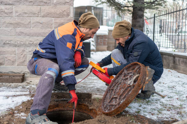 Istockphoto-1464790862-612x612