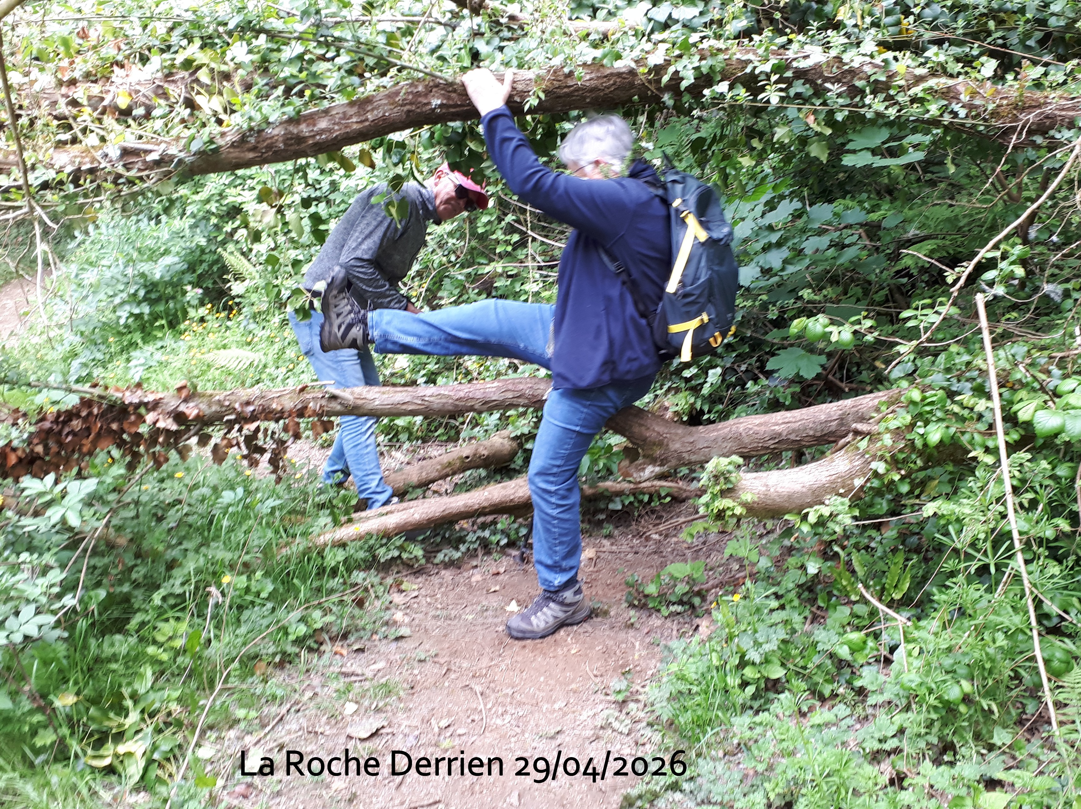 2026 04 29 la roche derrien 2 