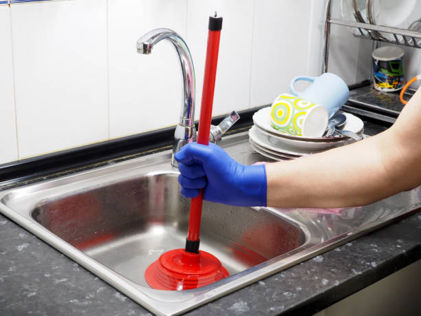 Istockphoto-1450293889-612x612