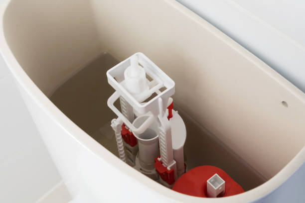 Istockphoto-1345849394-612x612