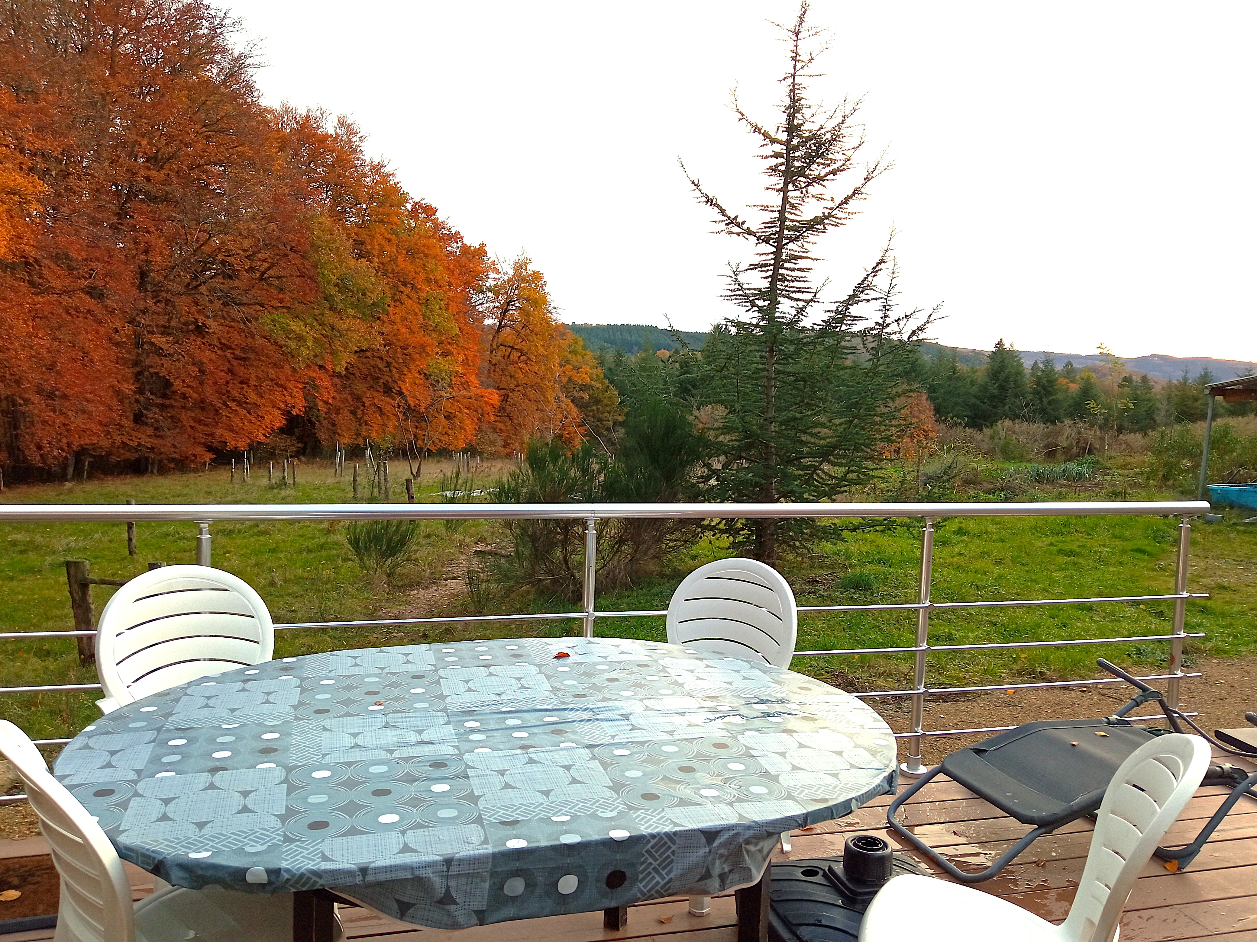 Jardin-terrasse-roulotte2