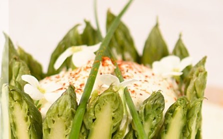 Tartare-tiede-de-gambas-crues
