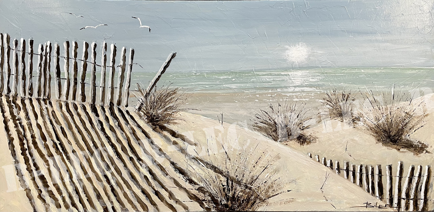 25008 26 40x80