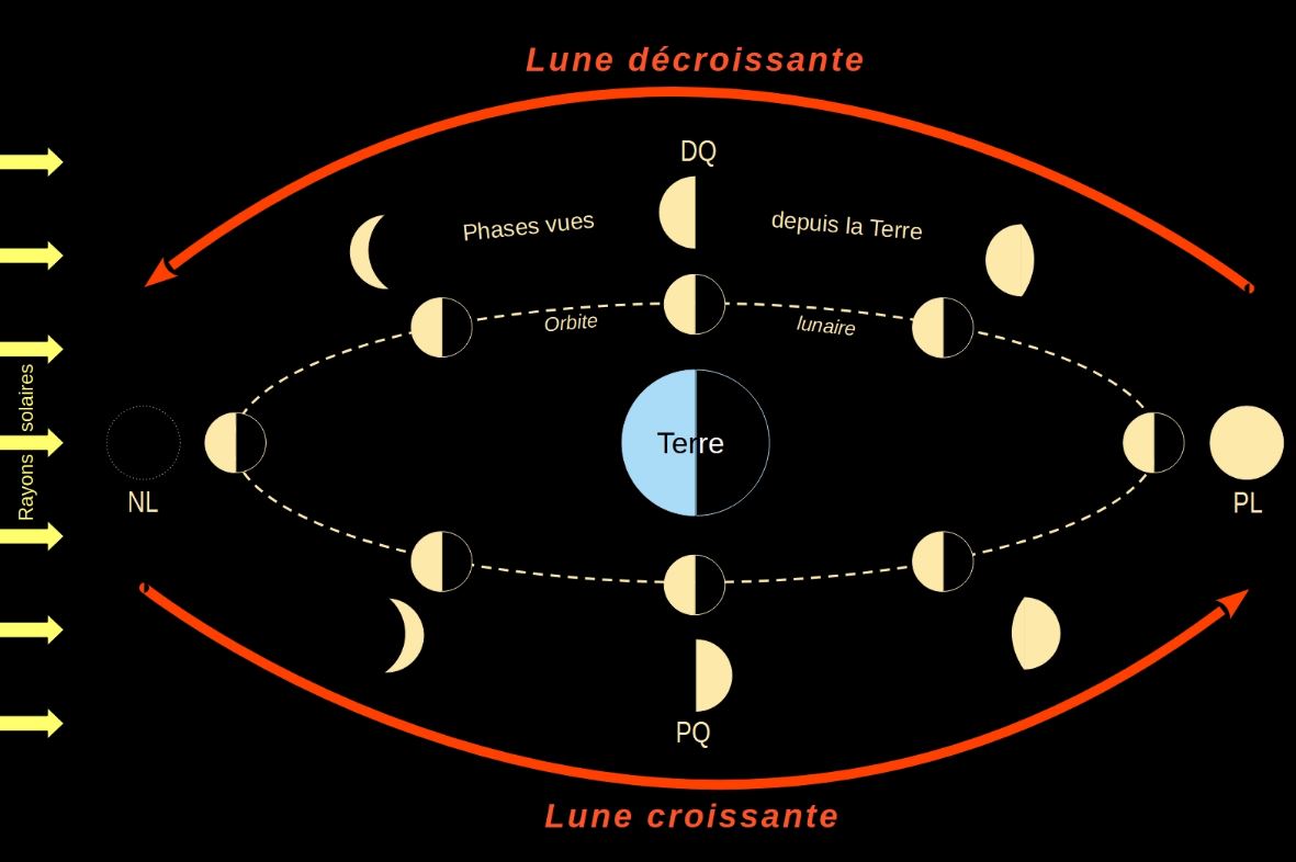 Lune-phases