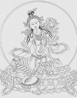 Trame-Tara-Blanche