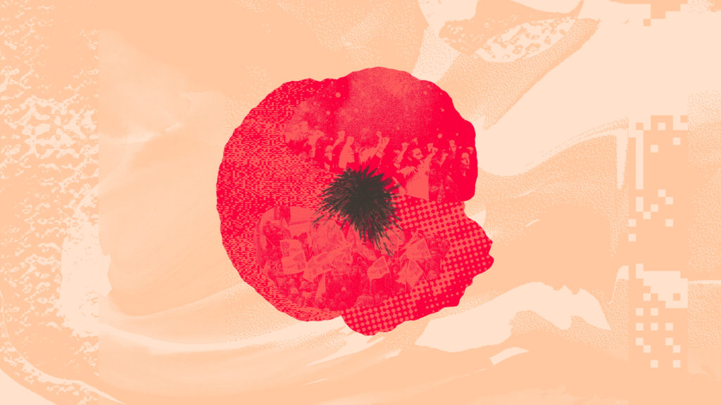 Coquelicot-ugict-sur-fond-beuge-1024x576