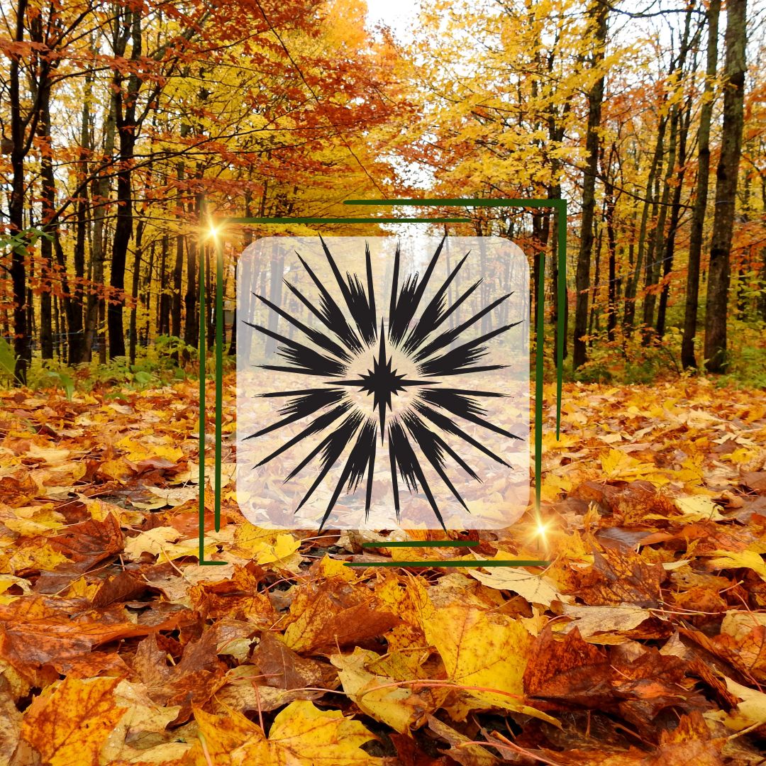 Broceliande-septembre-2026-2-