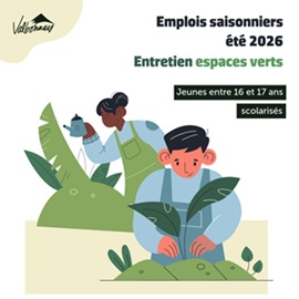 Emploi-ete-2026