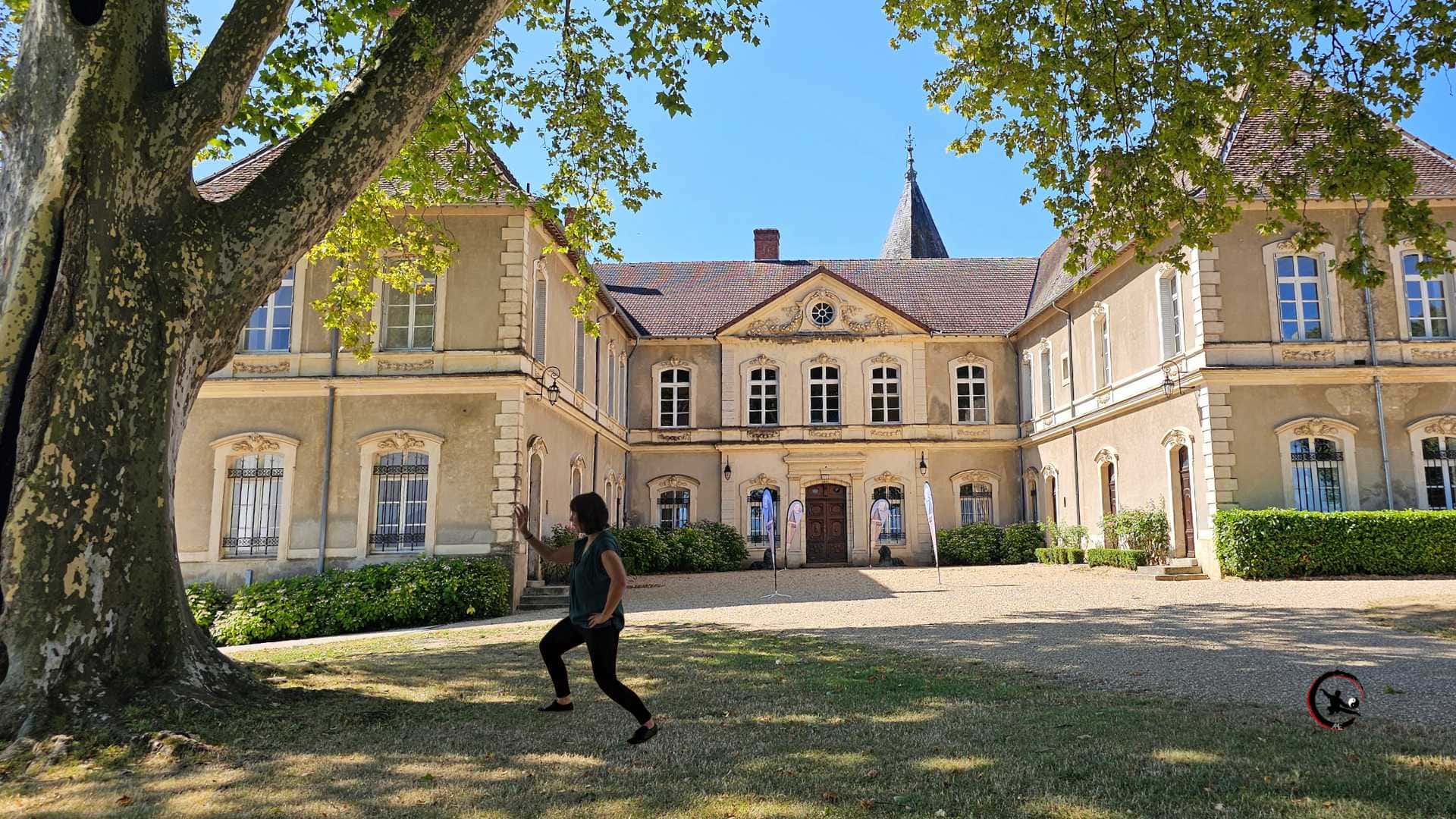 Qi Gong et Tai Chi en entreprise avant l'été - Bourgoin et Nord-Isère