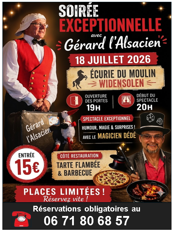 Affiche-gemini