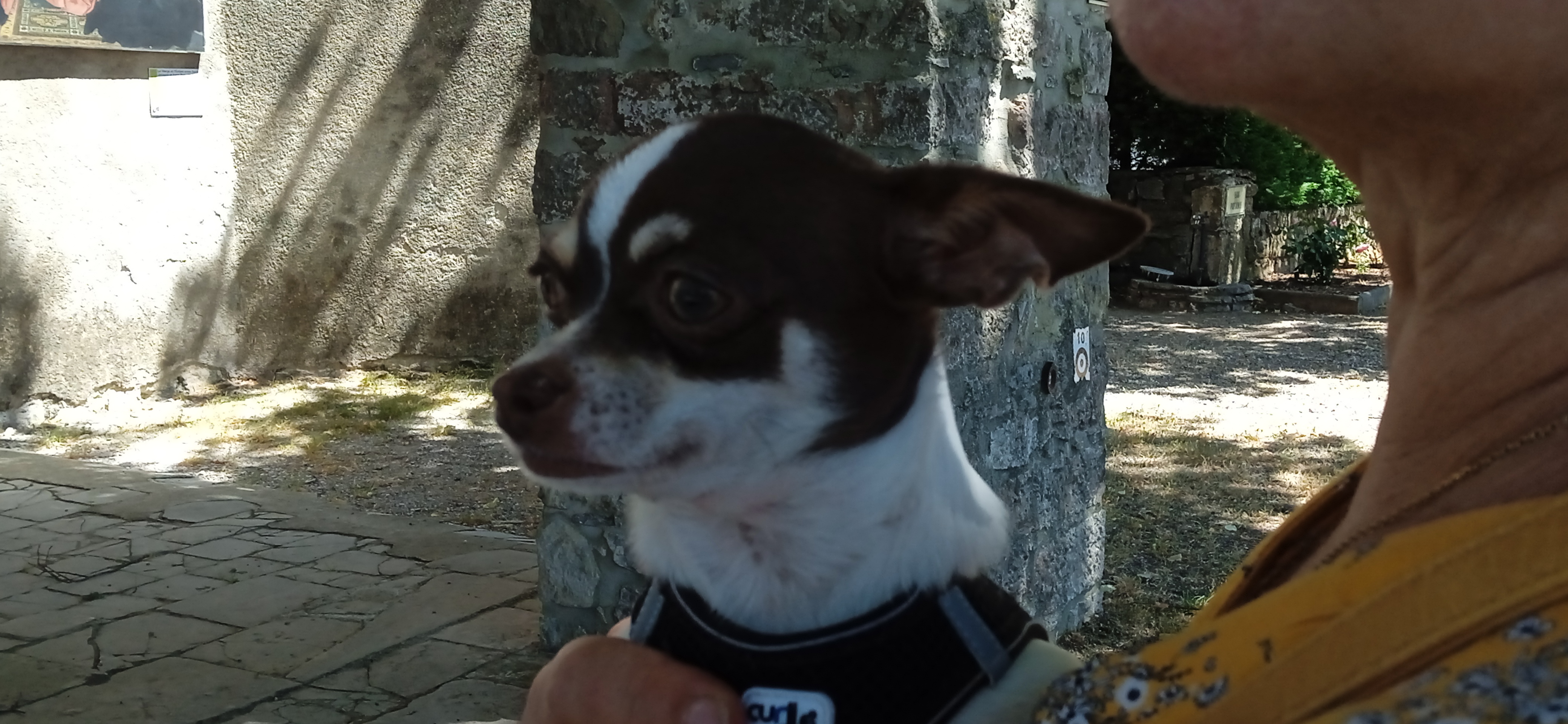 Img 20220605 150713 1