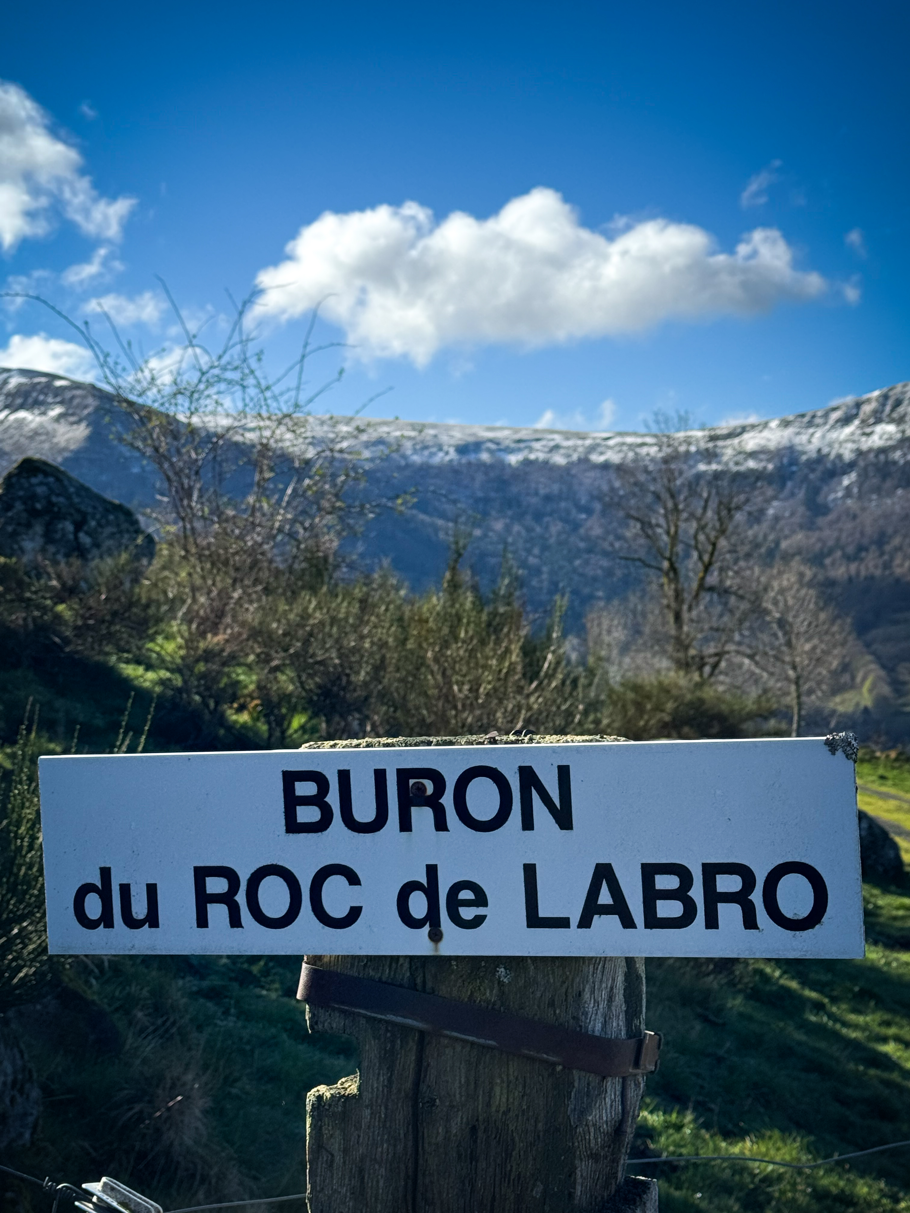 Buron roc labro 4