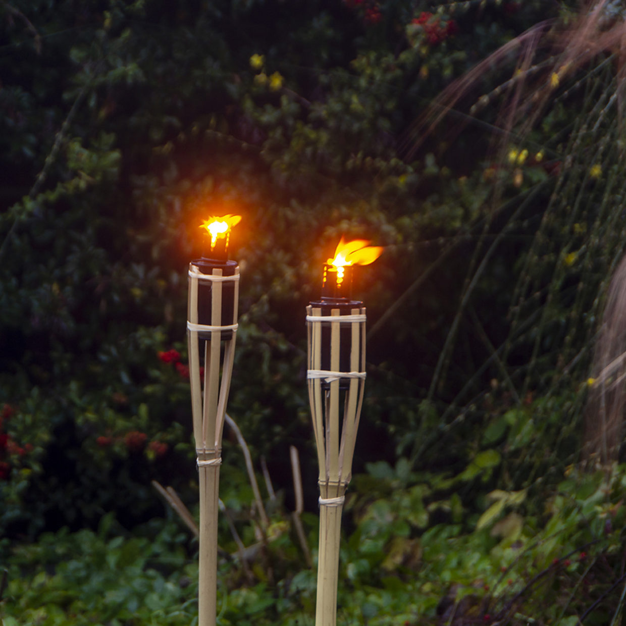Flambeaux bambou