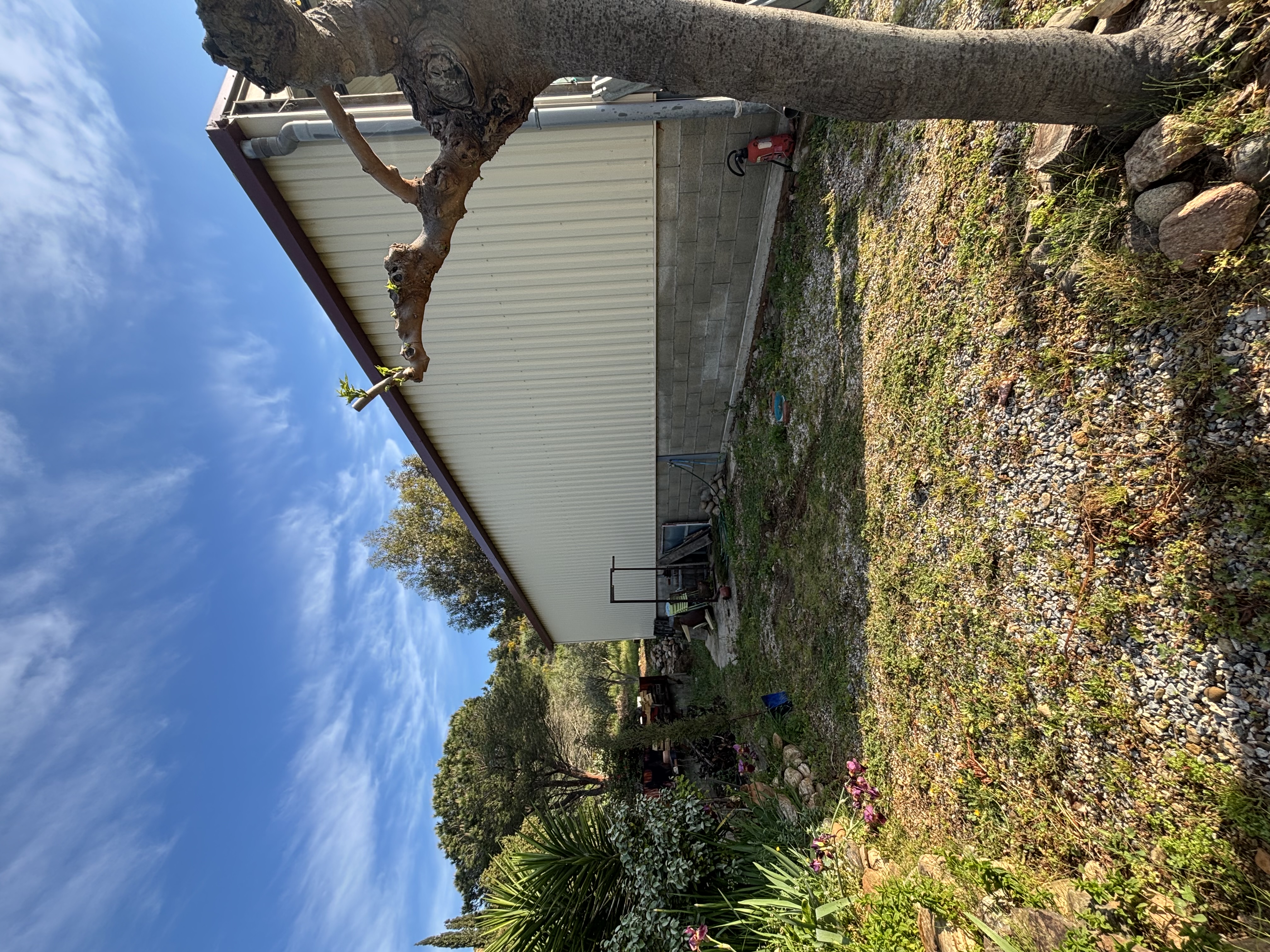 Image2