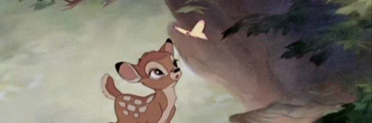 Deer Makeup